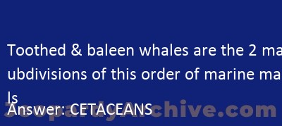 Toothed & baleen whales are the 2 major subdivisions of this order of